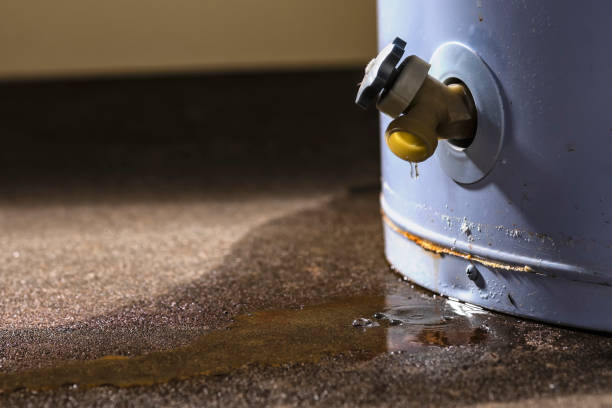 Best Carpet water damage restoration  in Clarksville, TX