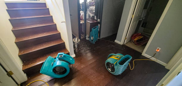 Best Commercial water damage restoration  in Clarksville, TX