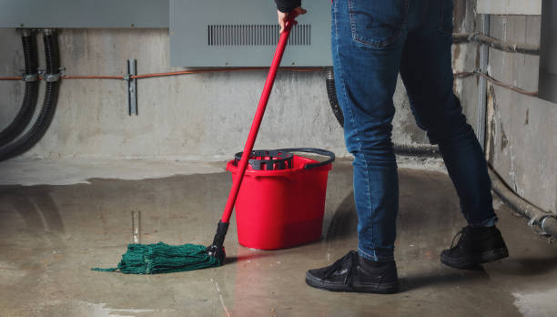 Best Water damage restoration process  in Clarksville, TX